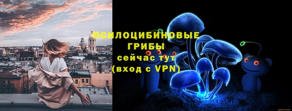 apvp Арсеньев