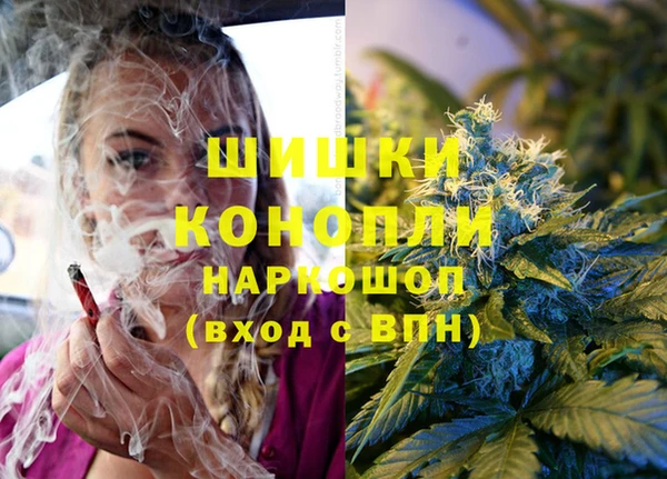 спайс Аркадак