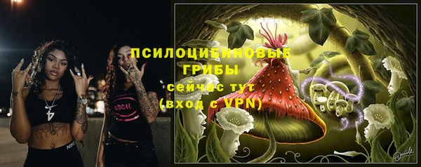 apvp Арсеньев