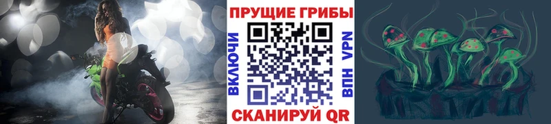 Псилоцибиновые грибы Psilocybe Купить где Воронеж